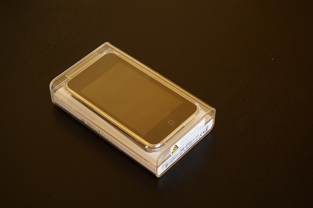 1st generation iPod Touch