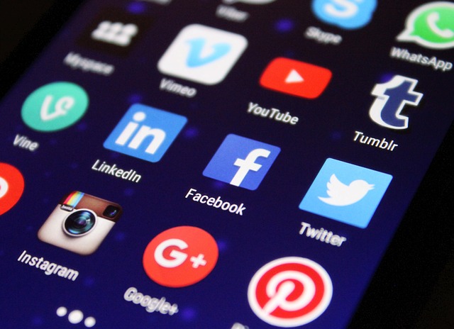 picture of the home screen of a smartphone