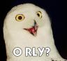 O rly owl