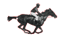 File:Muybridge race horse ~ small transp.gif
