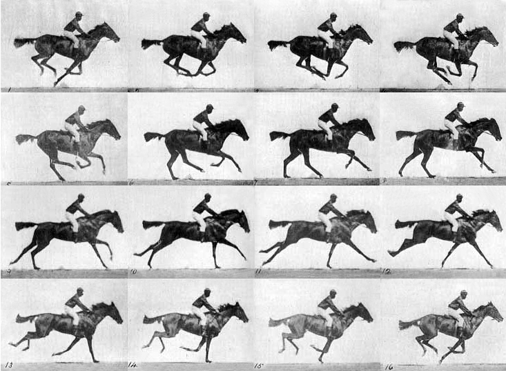 File:Muybridge race horse gallop.jpg