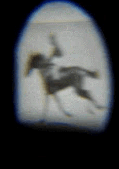 File:Animation de Daisy-Muybridge- par un Zootrope.gif
