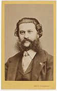 Johann Strauss II by Fritz Luckhardt