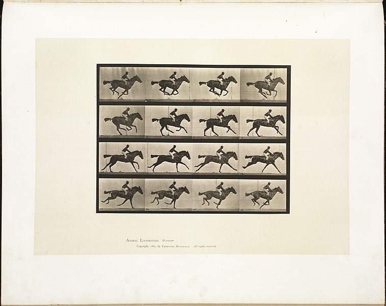 File:Animal locomotion. Plate 626 (Boston Public Library).jpg