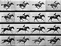 Thumbnail for version as of 10:34, 1 February 2005