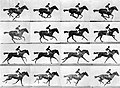 Thumbnail for version as of 13:36, 15 January 2006