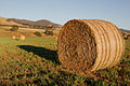 Hay