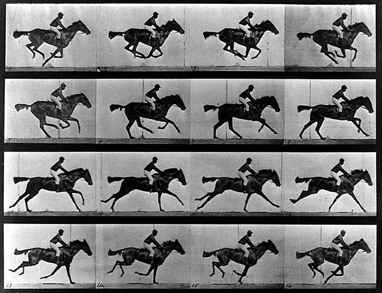 File:Chevaux-muybridge-sos-photos-traitement-image-retouche-editing-prise-de-vue.jpg