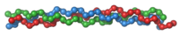 Basic unit of collagen, the main structural protein "glue" that holds our bodies together. Three left-handed procollagen polypeptides coil to form a right-handed triple helical tropocollagen. Collagen defects can lead to genetic diseases like Ehlers–Danlos_syndromes.