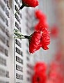Remembrance Day