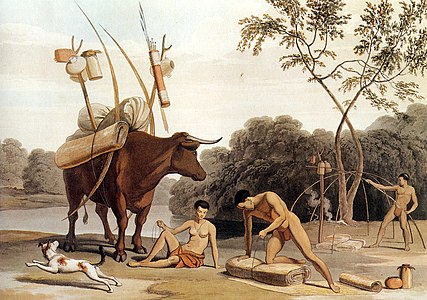 Khoikhoi dismantling their huts, by Samuel Daniell