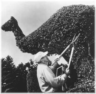 topiary