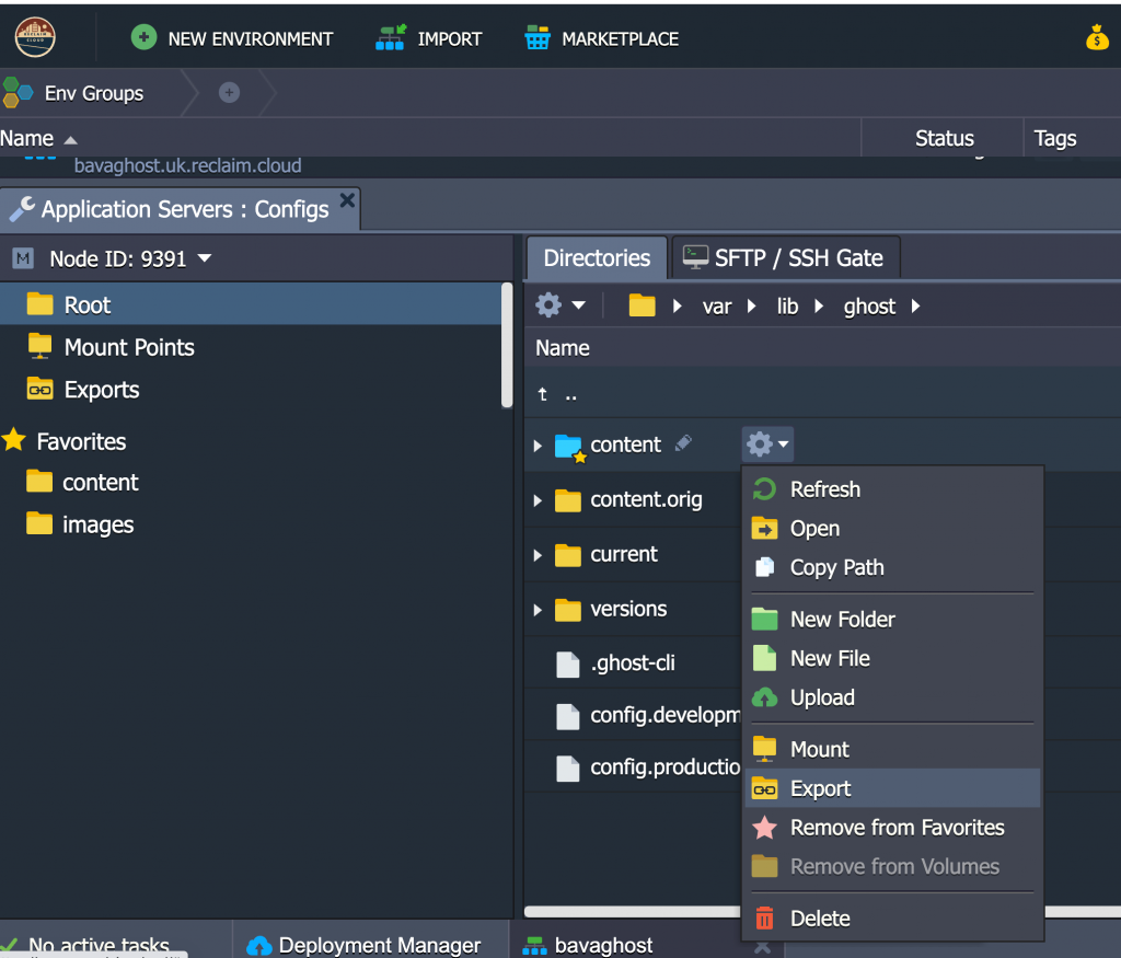 Image of Export option in Reclaim Cloud