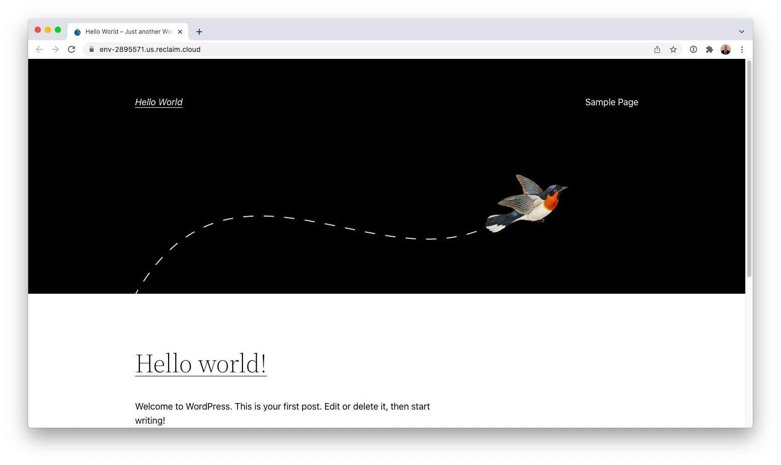 Hello_world_.png