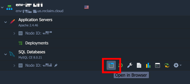 Open_in_Browser.png