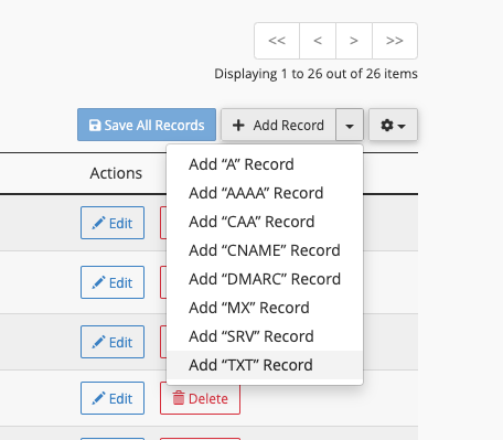 Zone Editor Add Record menu with the TXT record option selected.