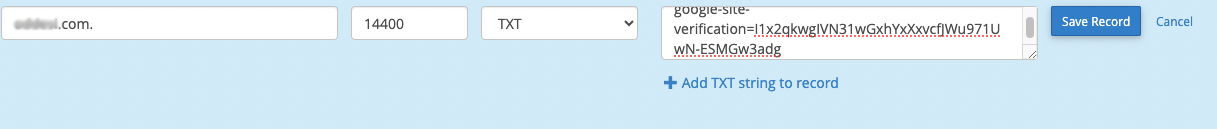 Zone Editor form showing a Google verification TXT record being added to DNS.
