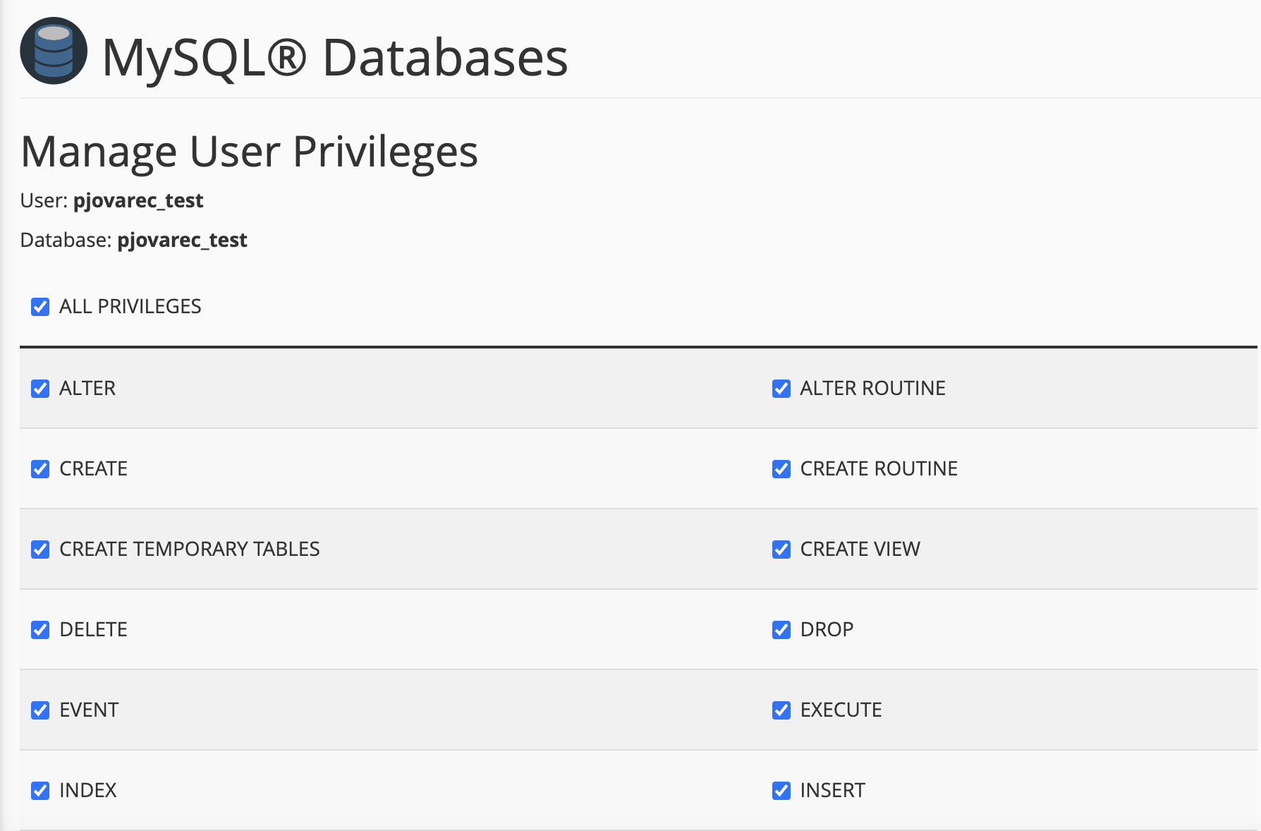 Database privileges screen showing available permissions that can be granted to a database user.